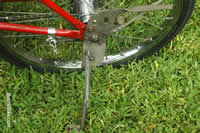 pin stripes on frame