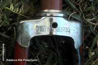 fork bridge from above