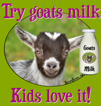 mock ad for goats milk