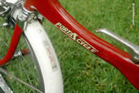 painted mudguard stay