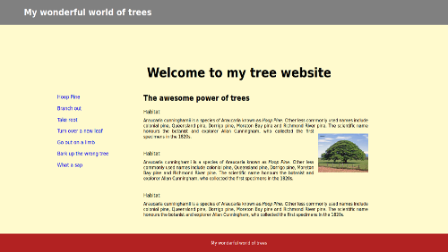 screen shot of practice web page